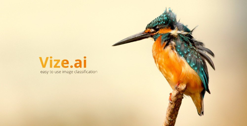 Try out Vize.ai