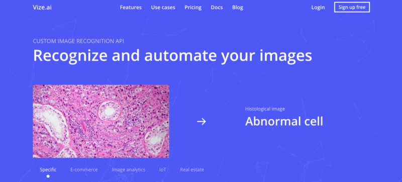 Vize Homepage