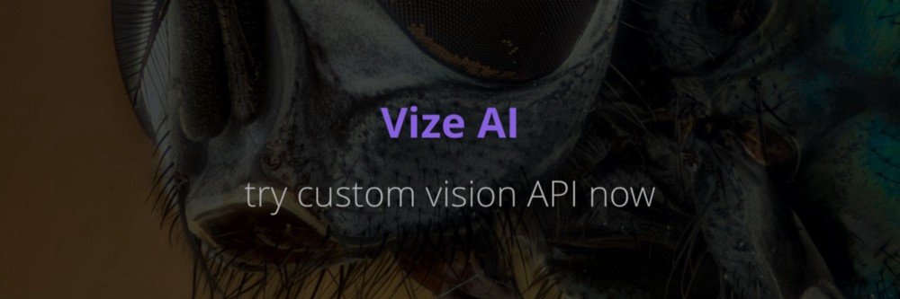 Vize.ai Custom API