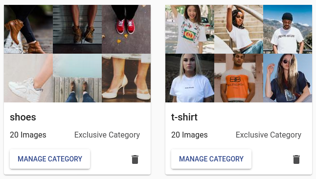 Our neural network trained with Ximilar SaaS platform has two labels: shoes and t-shirt.