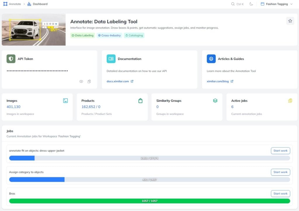 Ximilar Fashion Tagging workspace.