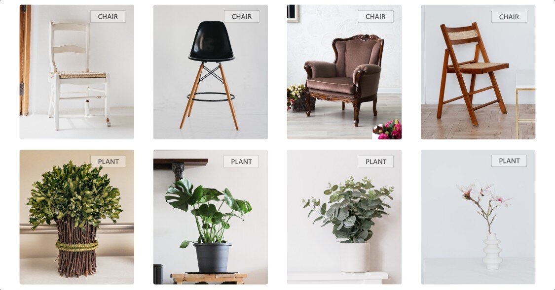 Image recognition of furniture and plants
