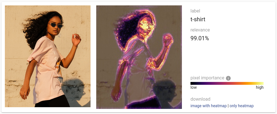 Blur-Integrated Gradients results, the most important features are head/face, same as what grad-cam is telling us.
