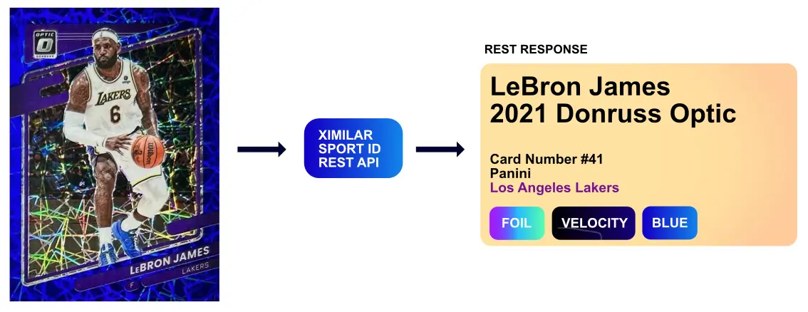 The example response when you identify sports cards with Ximilar API.
