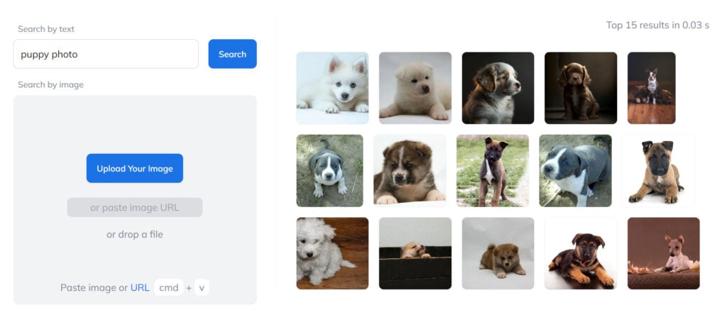 Text to image search on Ximilar Stock Photo Search demo provides images from a stock photo database.