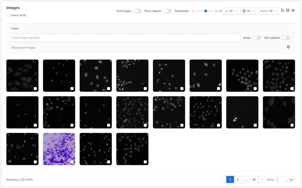 Training images are shared across Ximilar Computer Vision Platform.
