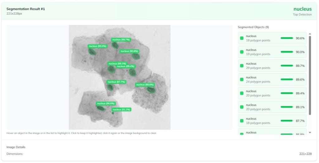 Testing the capabilities of instance segmentation model in Ximilar App.