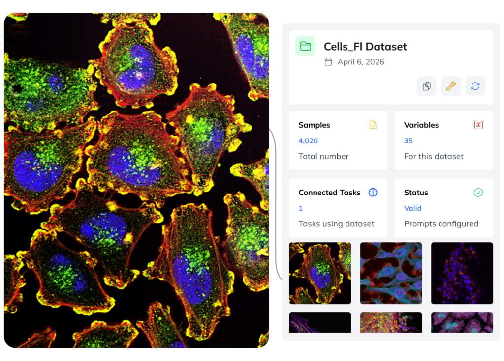 Generic multimodal AI fails on&nbsp;domain-specific tasks. Fine-tuned VLMs trained on&nbsp;your data outperform them on&nbsp;every relevant benchmark, delivering stronger vision and language capabilities.