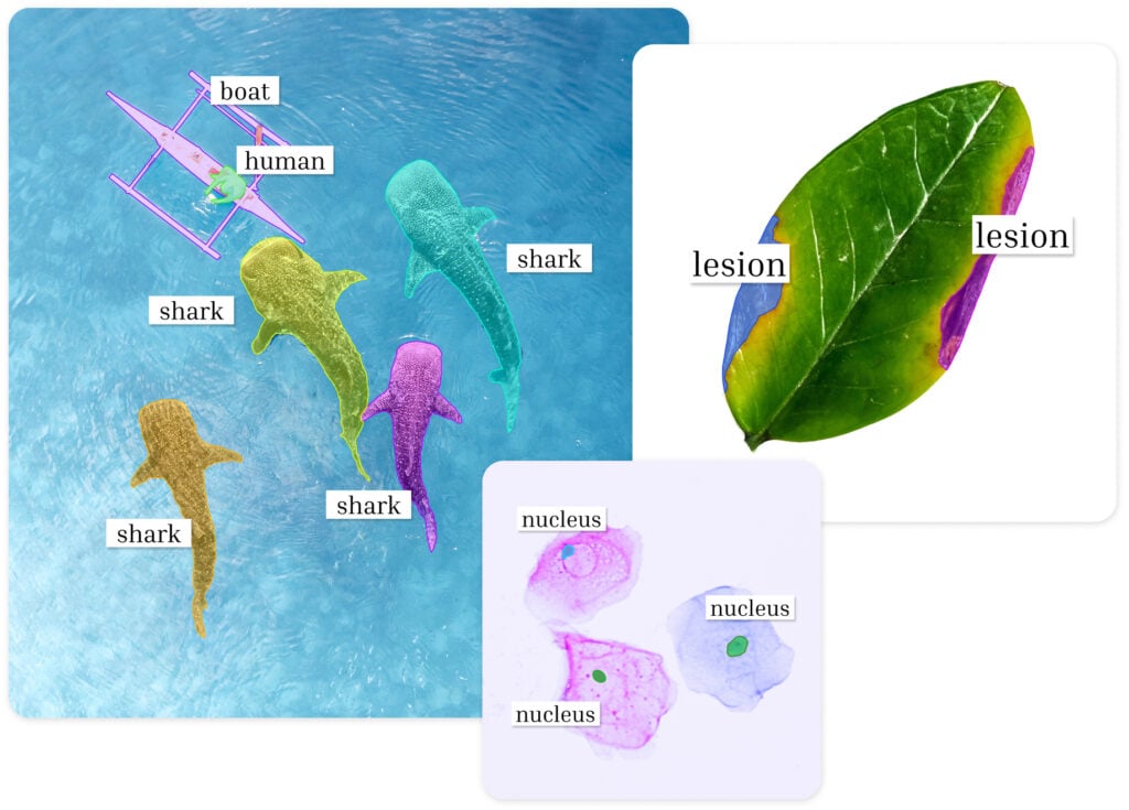 Instance segmentation detects individual objects and outlines each with a&nbsp;pixel-level mask. It’s useful when object shape matters, from quality control and medical imaging to&nbsp;satellite imagery.