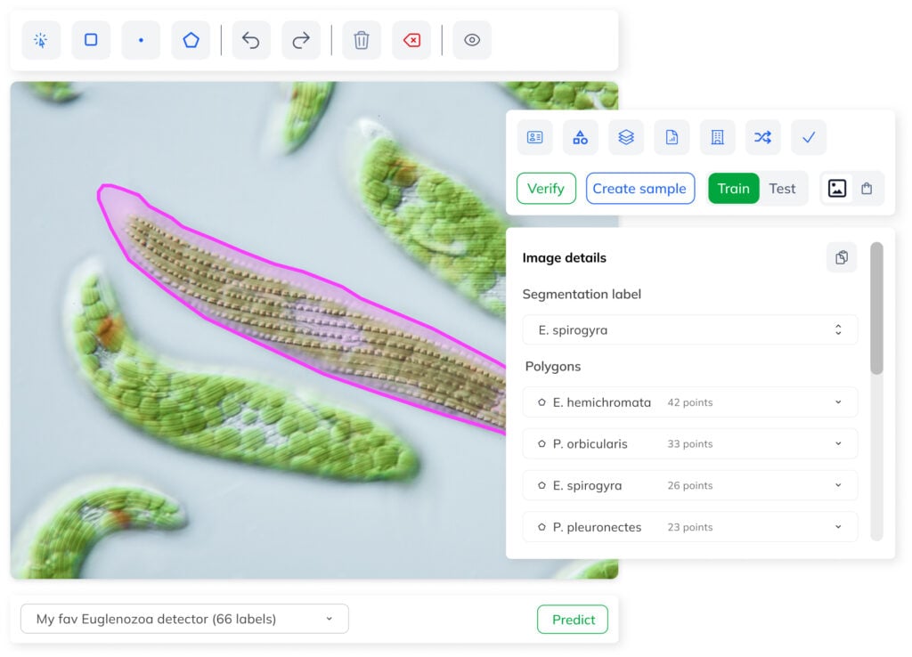 Each detected object comes with a&nbsp;polygon, label, and confidence score. Measure areas, count objects, extract them from backgrounds, or&nbsp;automate quality checks. Ximilar deploys the best-performing model automatically.